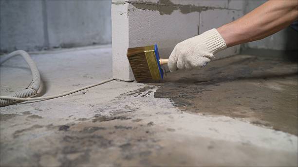 SJ Waterproofing Pros Crawl Space Encapsulation coverage map for Elgin, MN and surrounding area